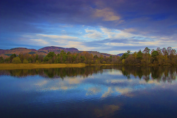  Reflections in a Perthshire Loch Picture Board by Derek Corner