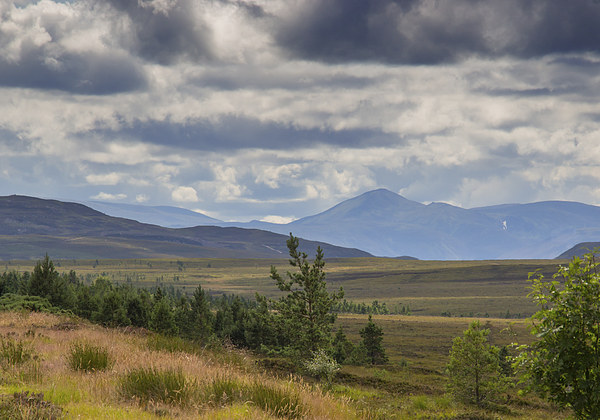  Highland landscape Picture Board by Derek Corner