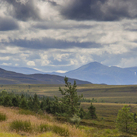 Buy canvas prints of  Highland landscape by Derek Corner