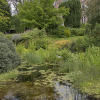 Buy canvas prints of Garden pond  by Derek Corner