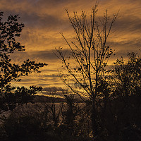 Buy canvas prints of Sunset over the Beauly Firth by Derek Corner