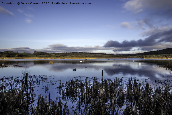 Winter view across the lake towards the reed beds Picture Board by Derek Corner