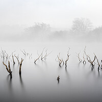 Buy canvas prints of Colliford Lake by mark leader
