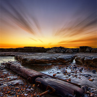 Buy canvas prints of Driftwood by mark leader