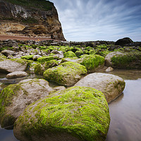 Buy canvas prints of Fairlight Cove by mark leader