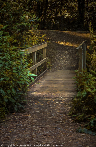 A Wooden Footbridge In The Woods Picture Board by Ian Lewis