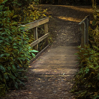 Buy canvas prints of A Wooden Footbridge In The Woods by Ian Lewis