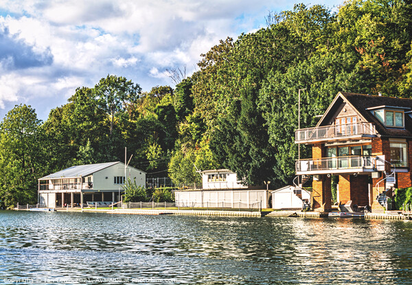 Boathouses on the Thames at Caversham Picture Board by Ian Lewis
