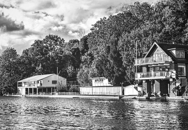Thames Boathouses at Caversham Picture Board by Ian Lewis