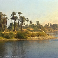 Buy canvas prints of Palm Lined Banks of The Nile by Ian Lewis