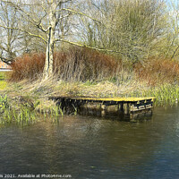Buy canvas prints of A Jetty On The Itchen by Ian Lewis