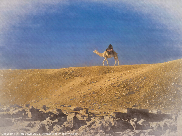 Lone Rider in the Sahara Sands Picture Board by Ian Lewis
