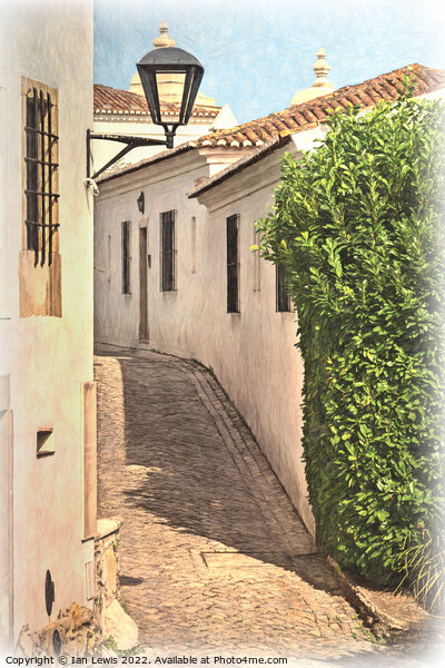 A Village Lane in Portugal Picture Board by Ian Lewis