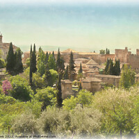 Buy canvas prints of A View of the Alhambra Palace by Ian Lewis
