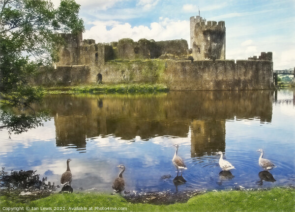 The Castle Geese Picture Board by Ian Lewis