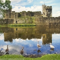 Buy canvas prints of The Castle Geese by Ian Lewis