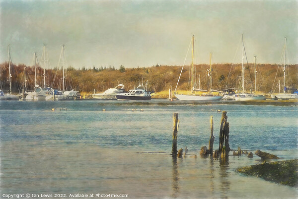 Moorings on the Beaulieu River Picture Board by Ian Lewis