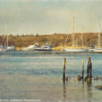 Buy canvas prints of Moorings on the Beaulieu River by Ian Lewis
