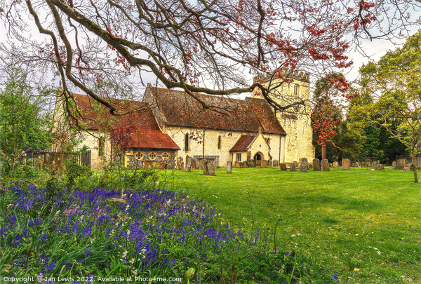 Hampstead Norreys Church and Bluebells Picture Board by Ian Lewis