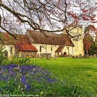 Buy canvas prints of Hampstead Norreys Church and Bluebells by Ian Lewis