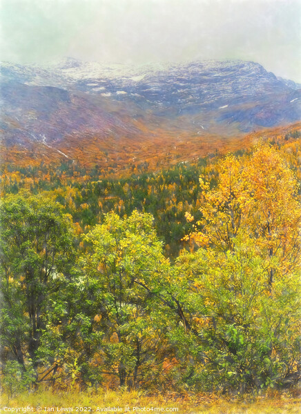 Autumnal Trees and Misty Mountains Picture Board by Ian Lewis