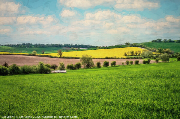 Rolling Hills of the Berkshire Downs Picture Board by Ian Lewis