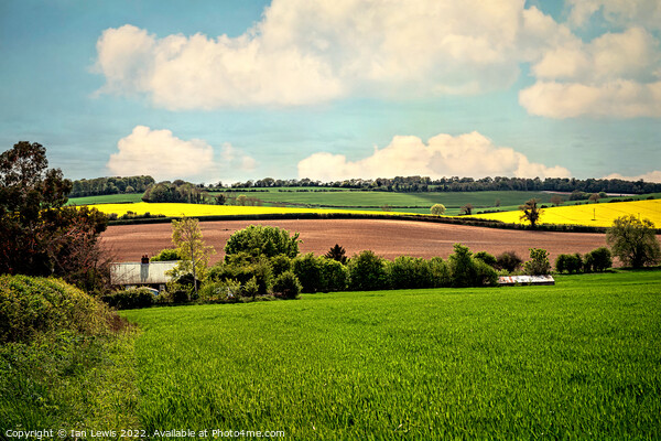 A Downland Farm Picture Board by Ian Lewis