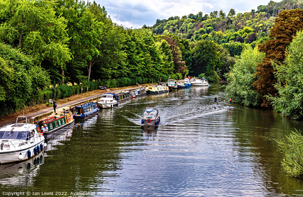 The Thames From Goring Bridge Picture Board by Ian Lewis