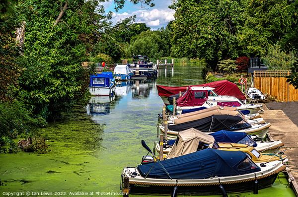 Boats Moored Above Goring Mill Picture Board by Ian Lewis