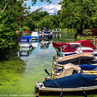 Buy canvas prints of Boats Moored Above Goring Mill by Ian Lewis