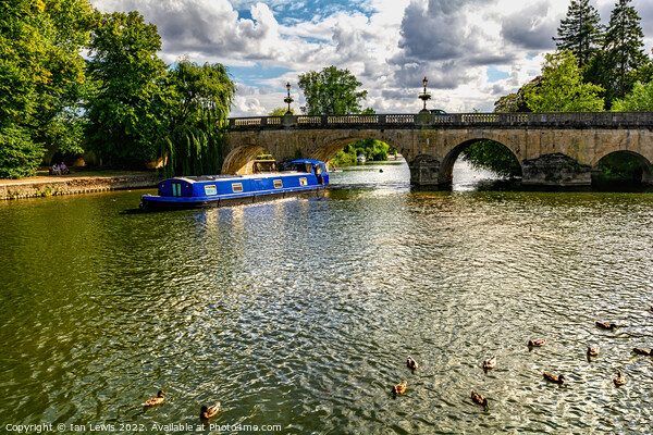 A Blue Narrowboat at Wallingford Bridge Picture Board by Ian Lewis