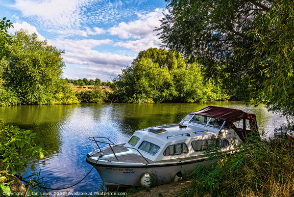 A Shady Mooring on the Thames Picture Board by Ian Lewis