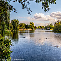 Buy canvas prints of The  River Thames at Benson by Ian Lewis