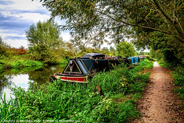 A September Walk By The Kennet Picture Board by Ian Lewis