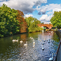 Buy canvas prints of Autumn at Kennetside in Reading by Ian Lewis