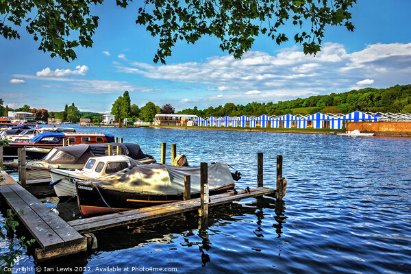 Preparing For Henley Royal Regatta Picture Board by Ian Lewis