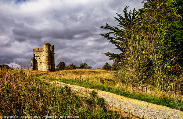 The Pathway to Donnington Castle Picture Board by Ian Lewis