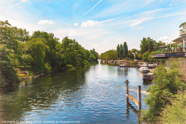 Thames View At Boulters Lock Picture Board by Ian Lewis