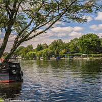 Buy canvas prints of By Mill Meadows at Henley on Thames by Ian Lewis