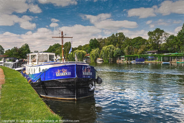 Moorings By The Thames Path at Henley Picture Board by Ian Lewis