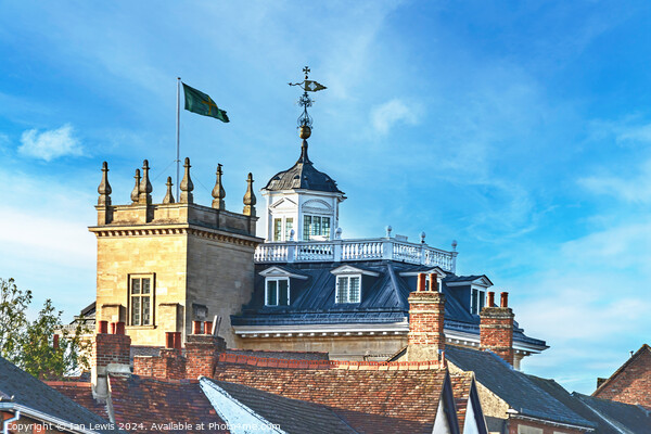 Rooftops of Abingdon Picture Board by Ian Lewis