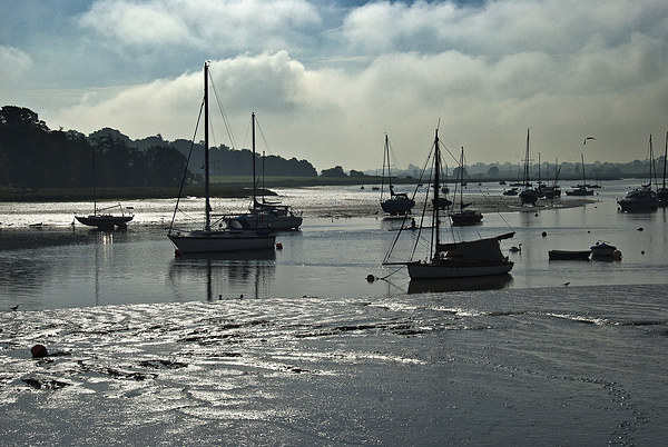 River Deben at Woodbridge Suffolk Picture Board by Ian Lewis