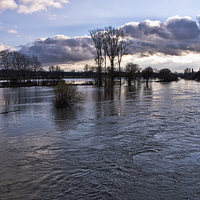Buy canvas prints of Thames Floods at Wallingford by Ian Lewis
