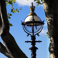 Buy canvas prints of South Bank Lamp by Ian Lewis