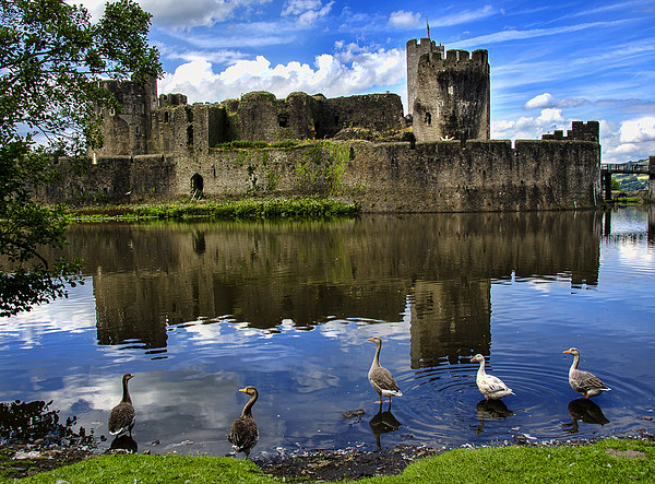 Caerphilly Castle Picture Board by Ian Lewis
