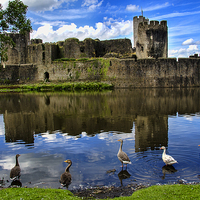 Buy canvas prints of Caerphilly Castle by Ian Lewis