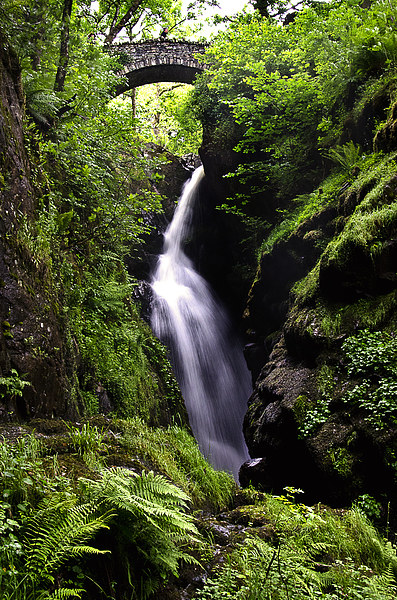 Aira Force, Cumbria Picture Board by Ian Lewis