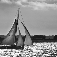 Buy canvas prints of Sailing Home by Ian Lewis