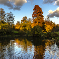 Buy canvas prints of Autumn Reflections by Ian Lewis