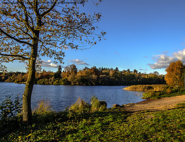 Autumn By The Lake Picture Board by Ian Lewis